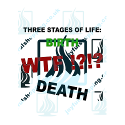 Three Stages of Life | Funny Quote T-Shirt Design | Birth - WTF - Death